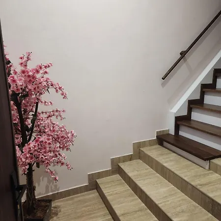 Appartamento Center 2